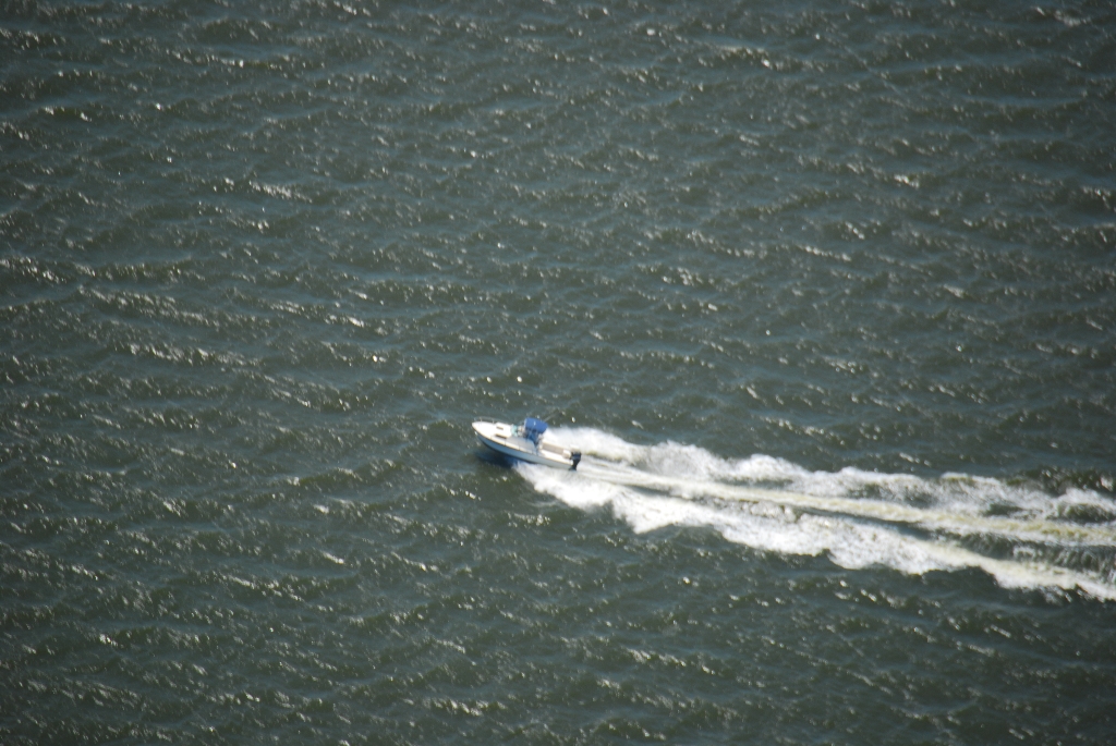 DSC_5417.JPG